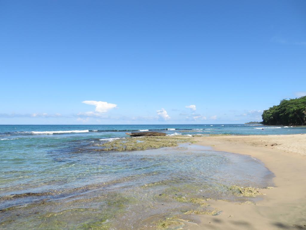 La Kukula Lodge Puerto Viejo de Talamanca Zewnętrze zdjęcie