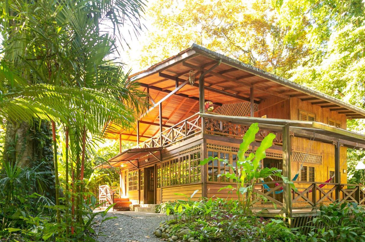 La Kukula Lodge Puerto Viejo de Talamanca Zewnętrze zdjęcie